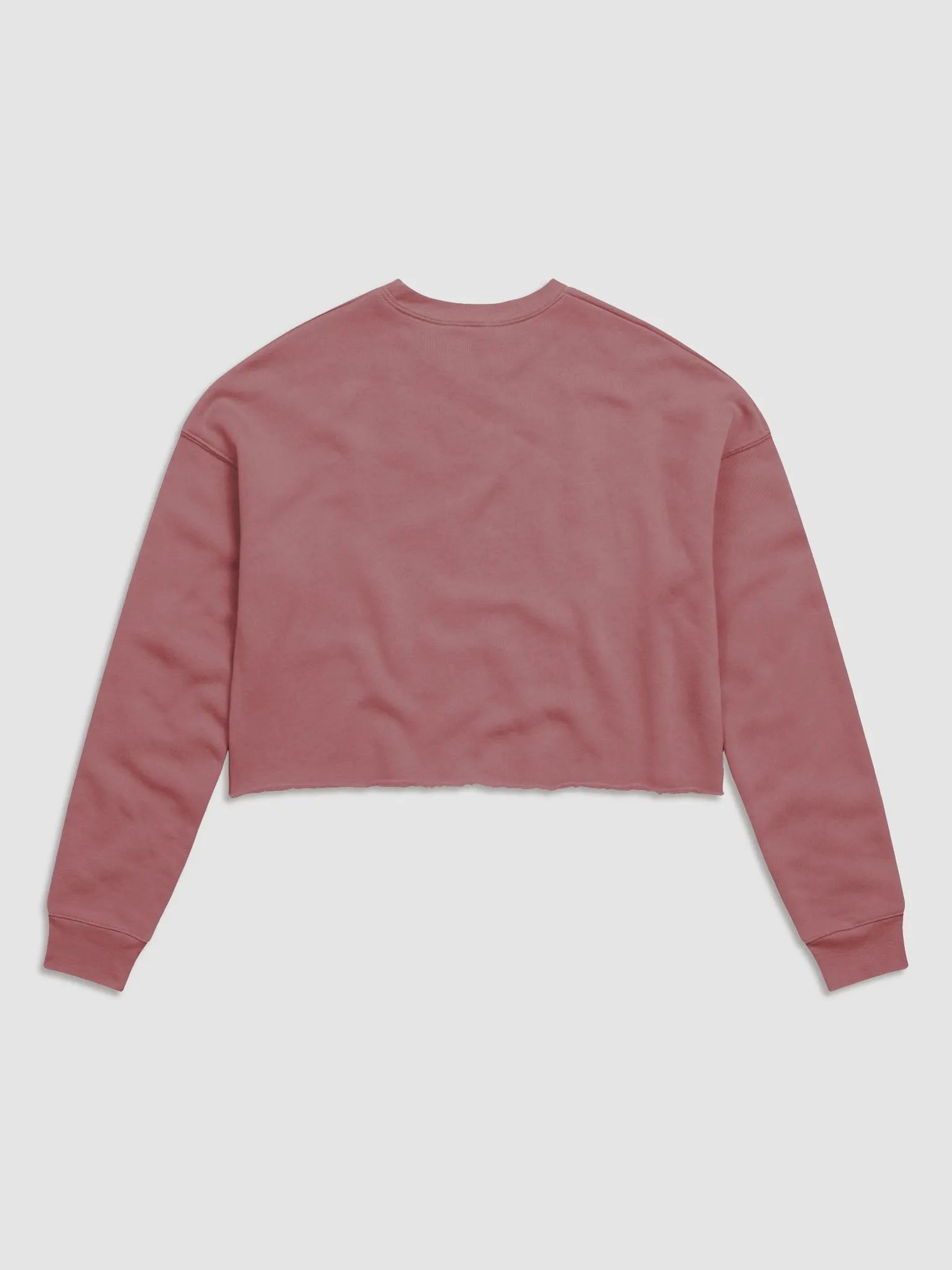 Poach Her Portal Crop Sweatshirt product image (18)