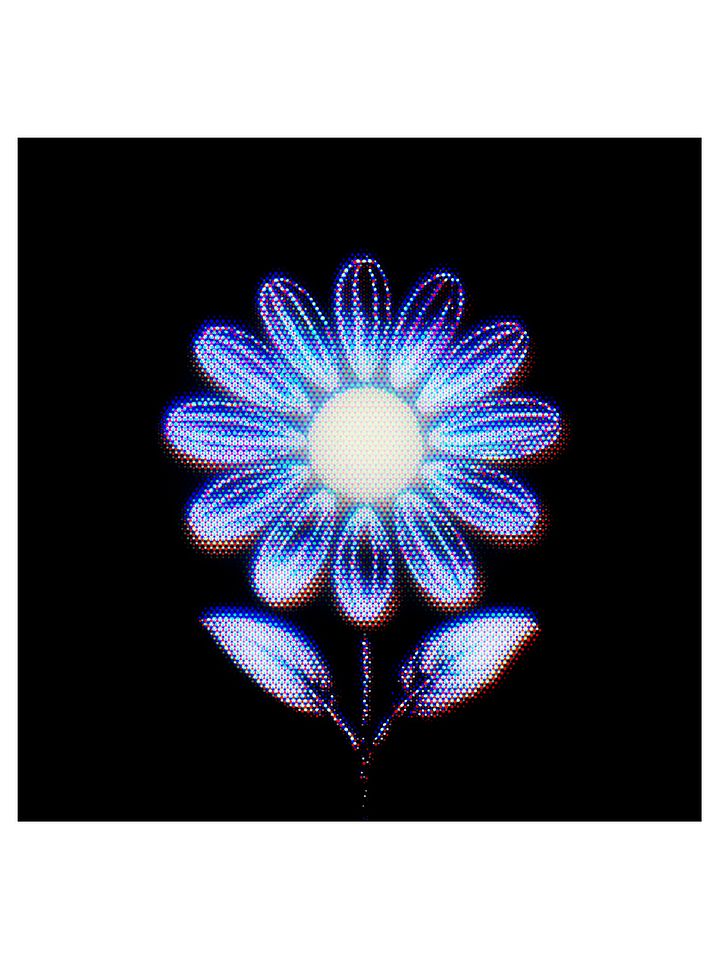 Signal Daisy – Framed Edition of 10 product image (2)