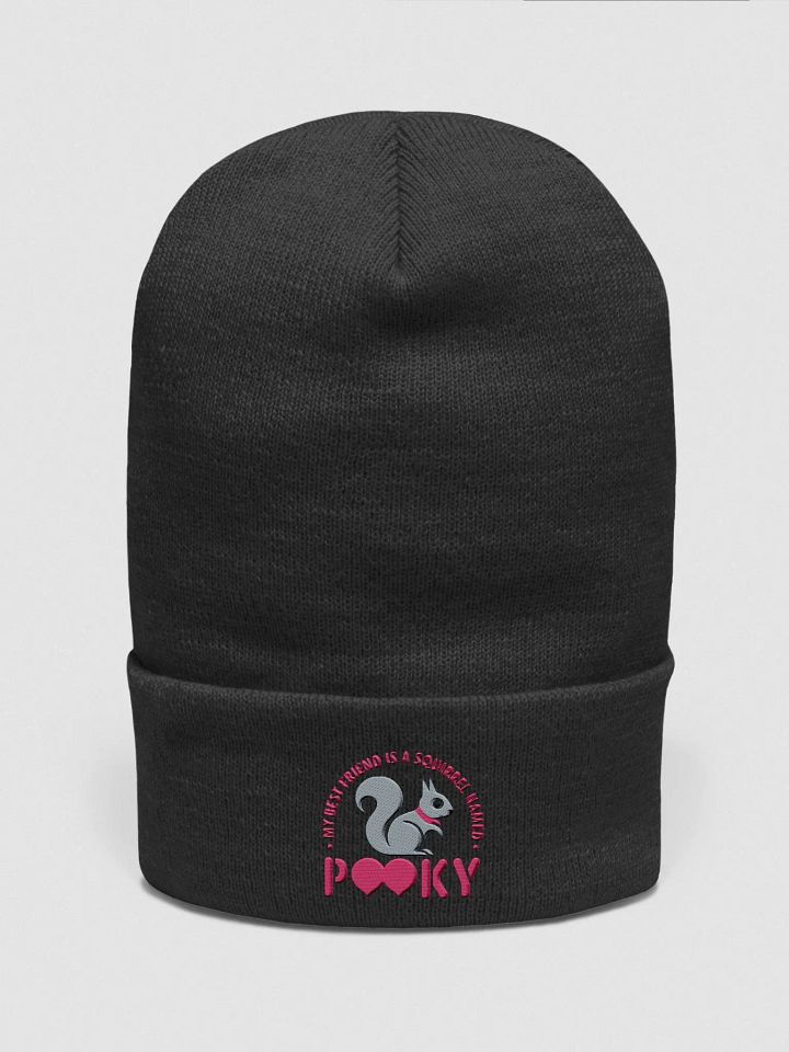 My Best friend is a squirrel named pooky supersoft beanie product image (1)