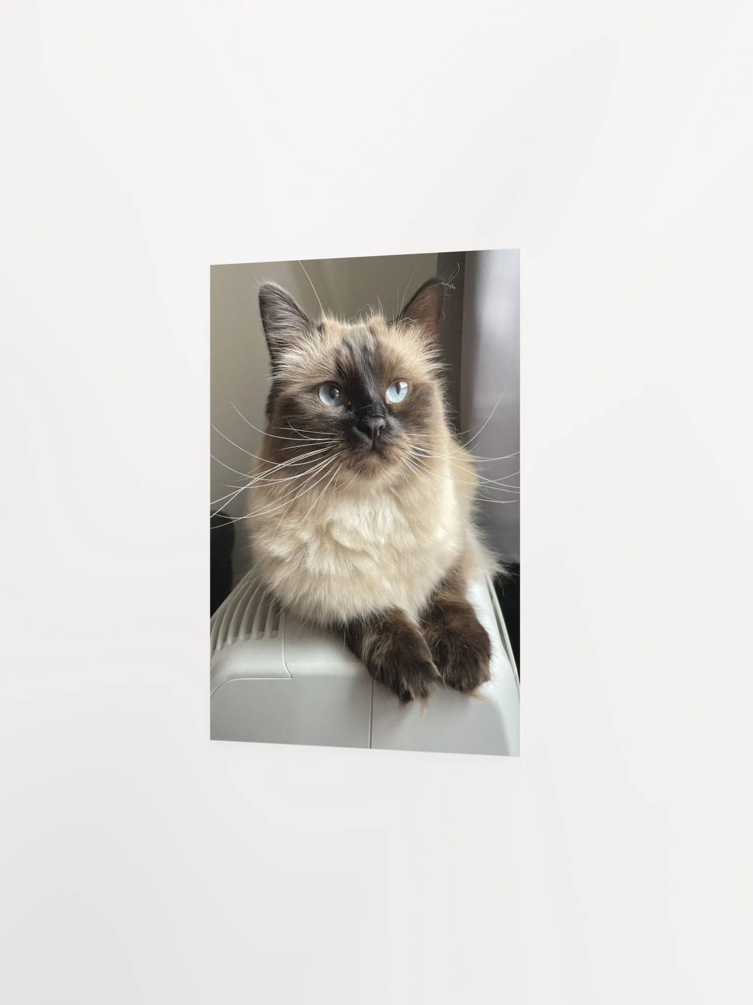 Lilith Poster product image (2)