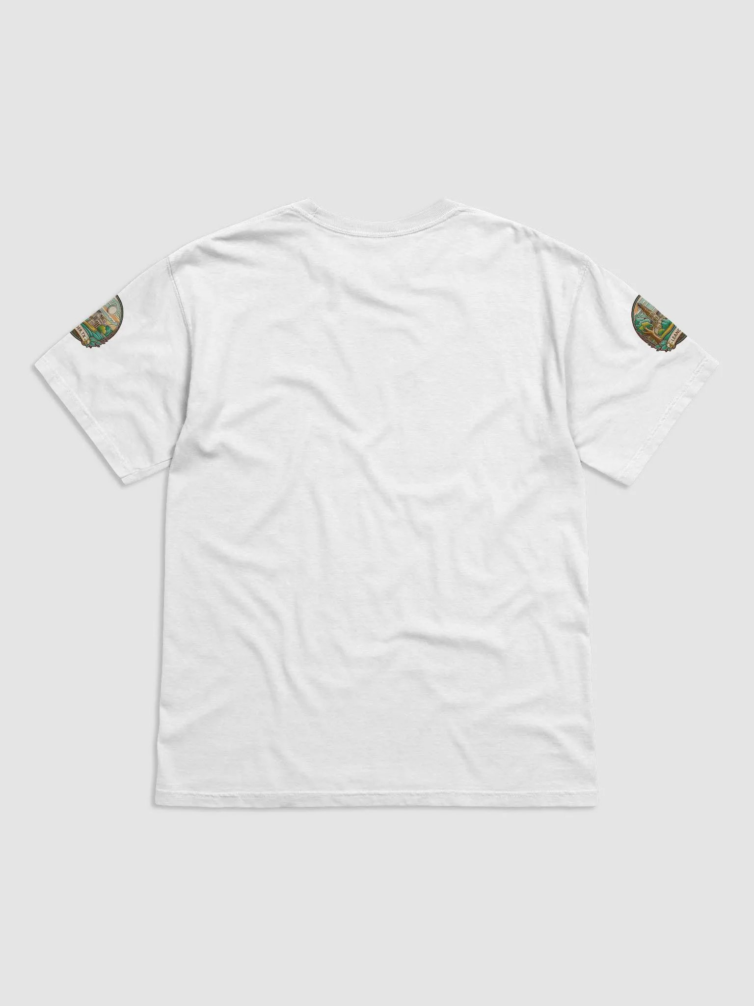 Leander Texas Vintage Comfort Nature Tee product image (6)