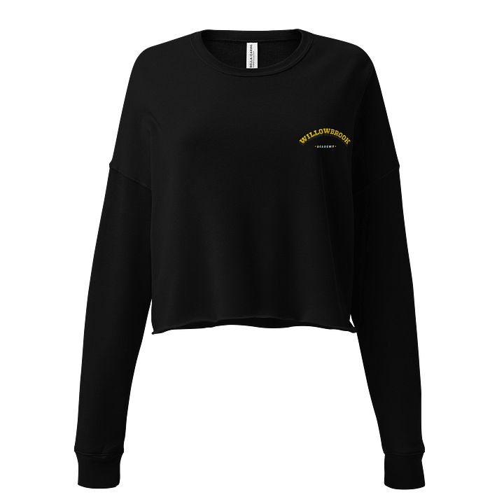 Willowbrook Academy Embroidered Crop Sweatshirt product image (1)