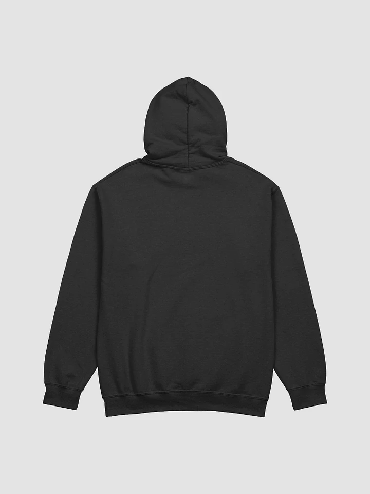 I Choose The DARK Hoodie! product image (2)