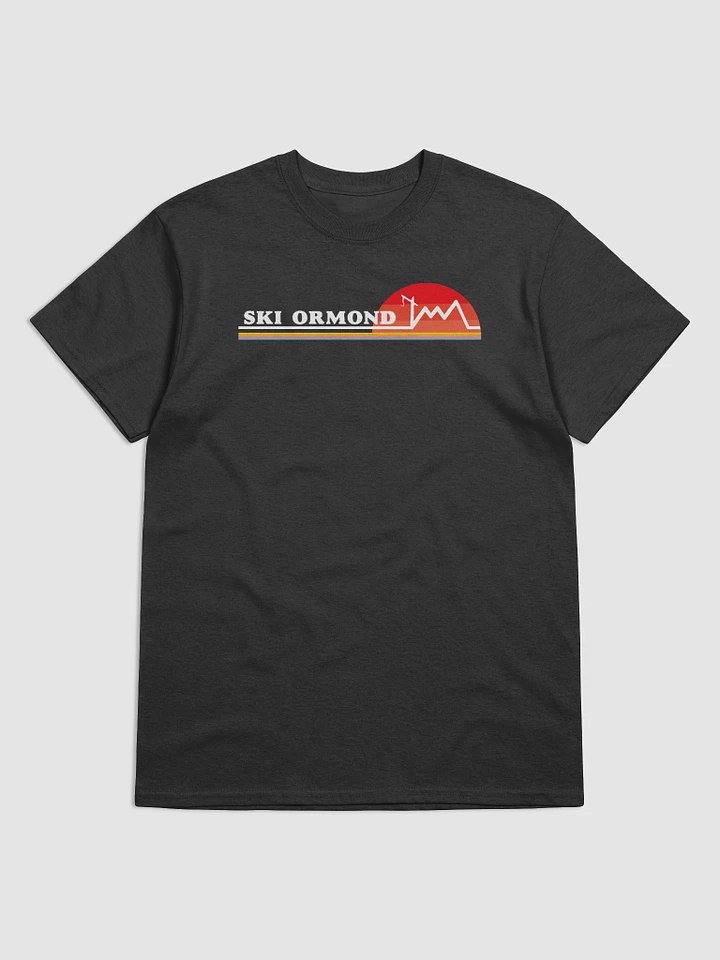 Ski Ormond Heavyweight T-Shirt product image (2)