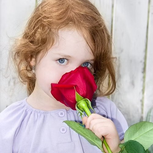 Red Rose Symphony!💐🎉🏝🏖😄🥳🥰💓
https://www.tiktok.com/@ptyjoymiami/video/7579608072209829150

https://www.youtube.com/watch?v=shD...