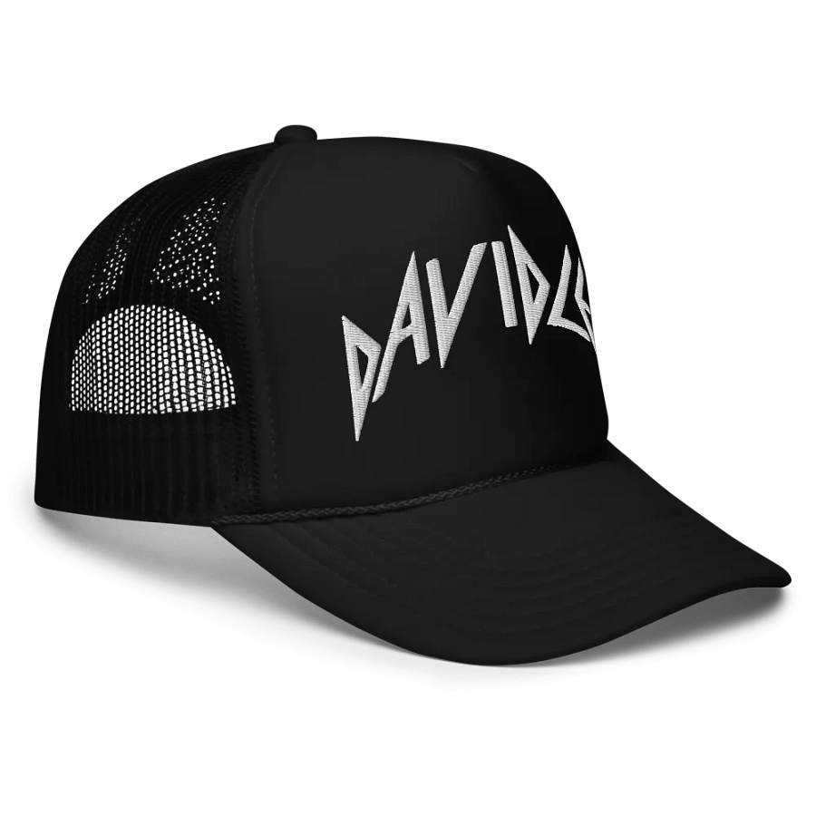 David Lee Embroidered Hat product image (4)