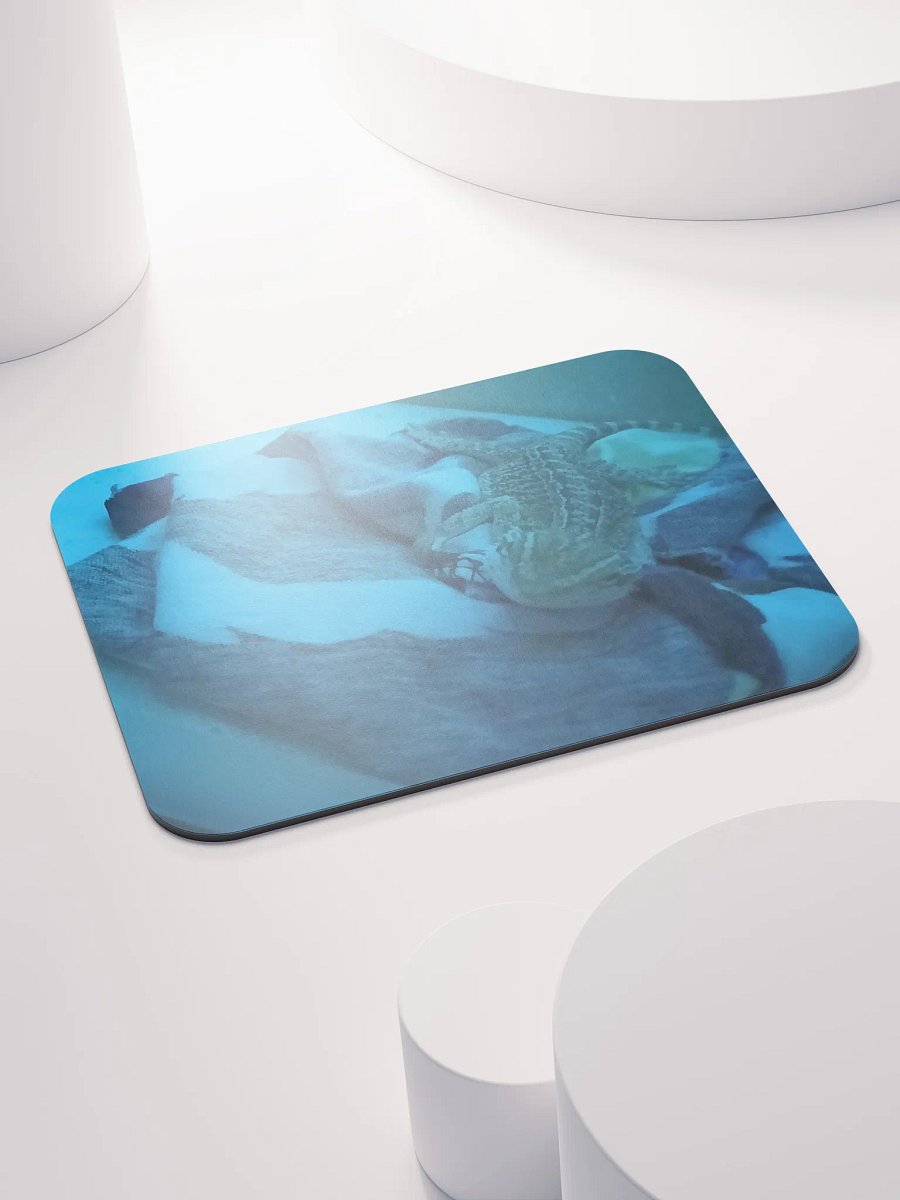 Sleepy Zora product image (4)