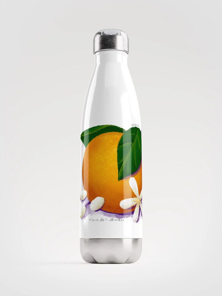 kyburg60 - Classically Californian Steel Bottle product image (1)
