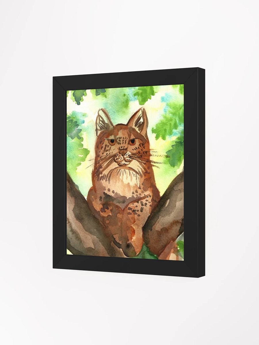 Lynx In A Tree Framed Print product image (9)