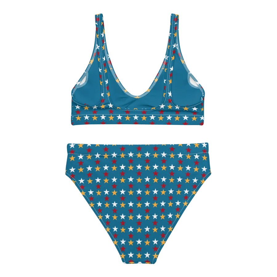 The Bonesdale Bikini product image (2)