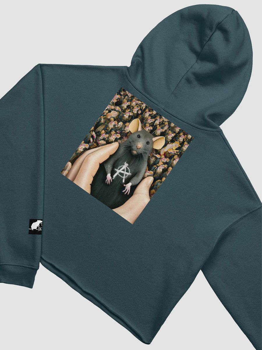 Anarchy Rat (Team Rat branded) cropped hoody product image (29)