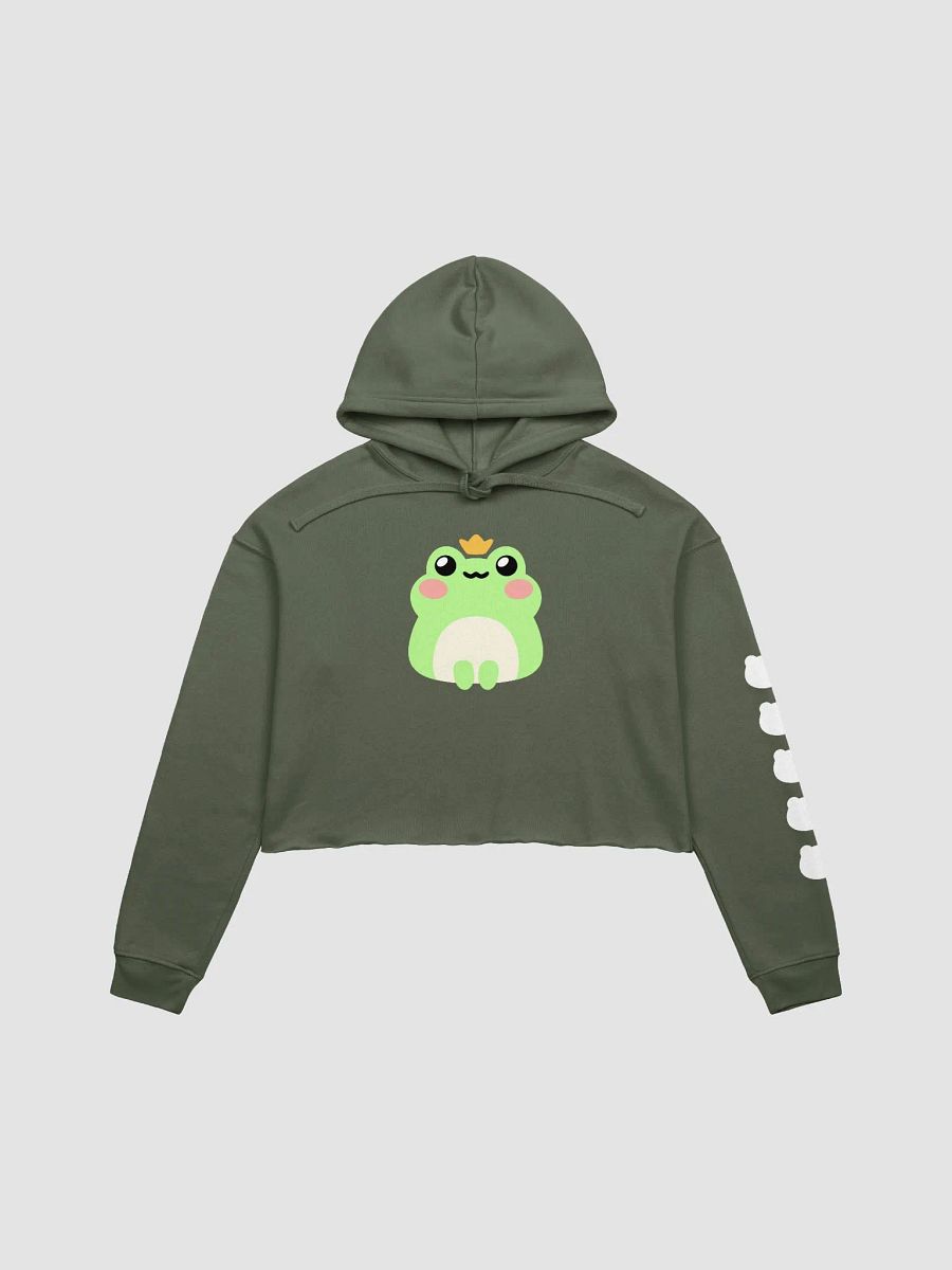 Fronk Cropped Hoodie product image (1)