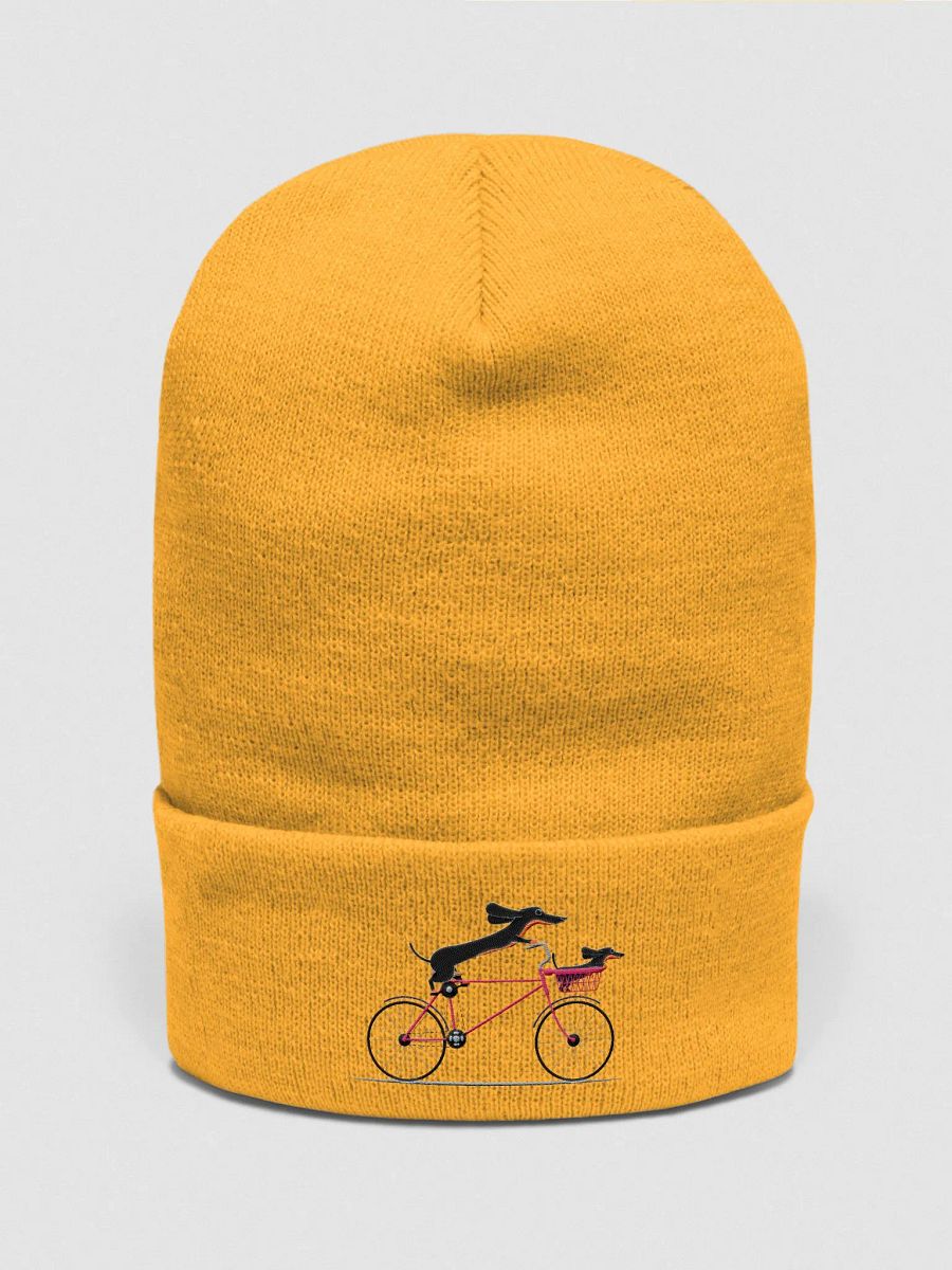 Weinner's bike ride product image (14)