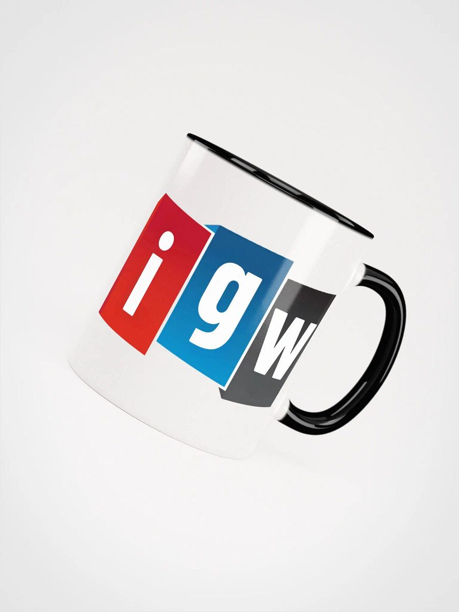 I GOT WRITES - mug product image (8)