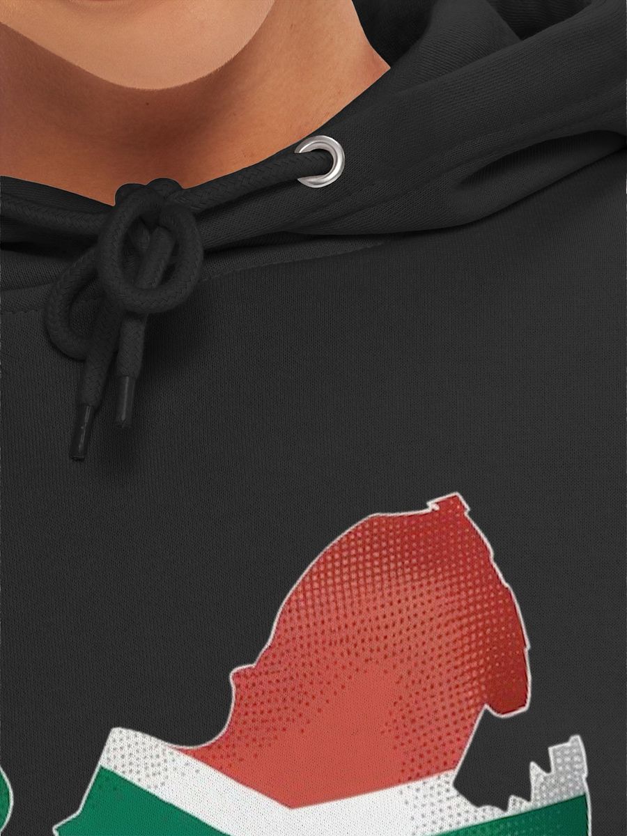 South Africa Flag South Africa Map Hoodie product image (43)