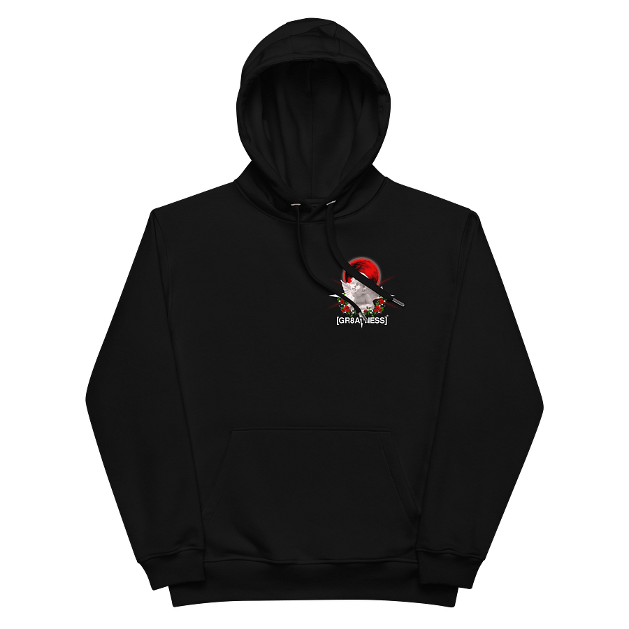 [GR8ATNESS]® Aesthetic Hoodie product image (1)
