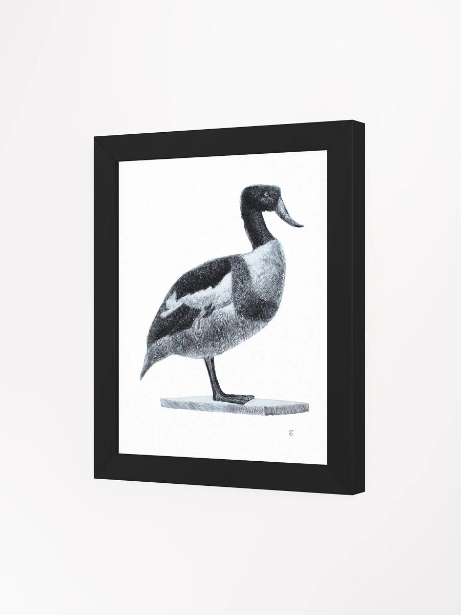 Serene Solitude: Framed Duck Illustration - Duck product image (9)