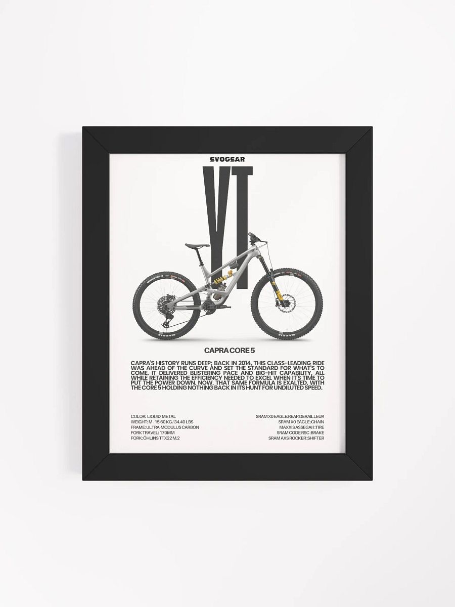 YT Capra Core 5 Frame product image (4)
