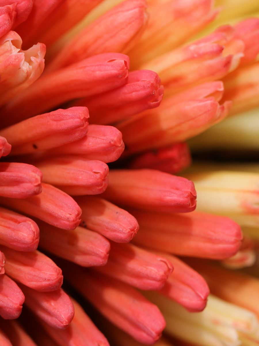 Abstract Image Collection product image (5)