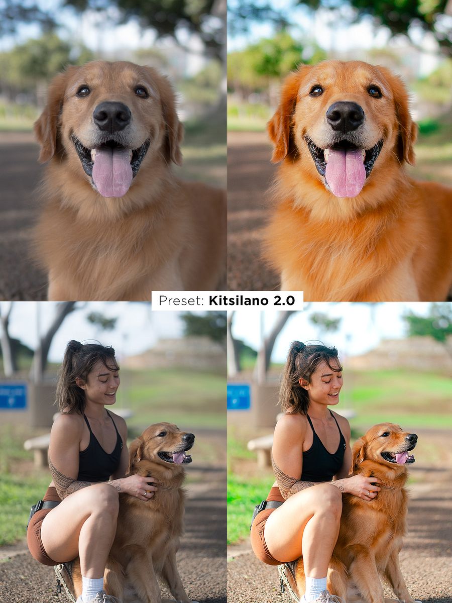 Pawtrait Presets product image (5)