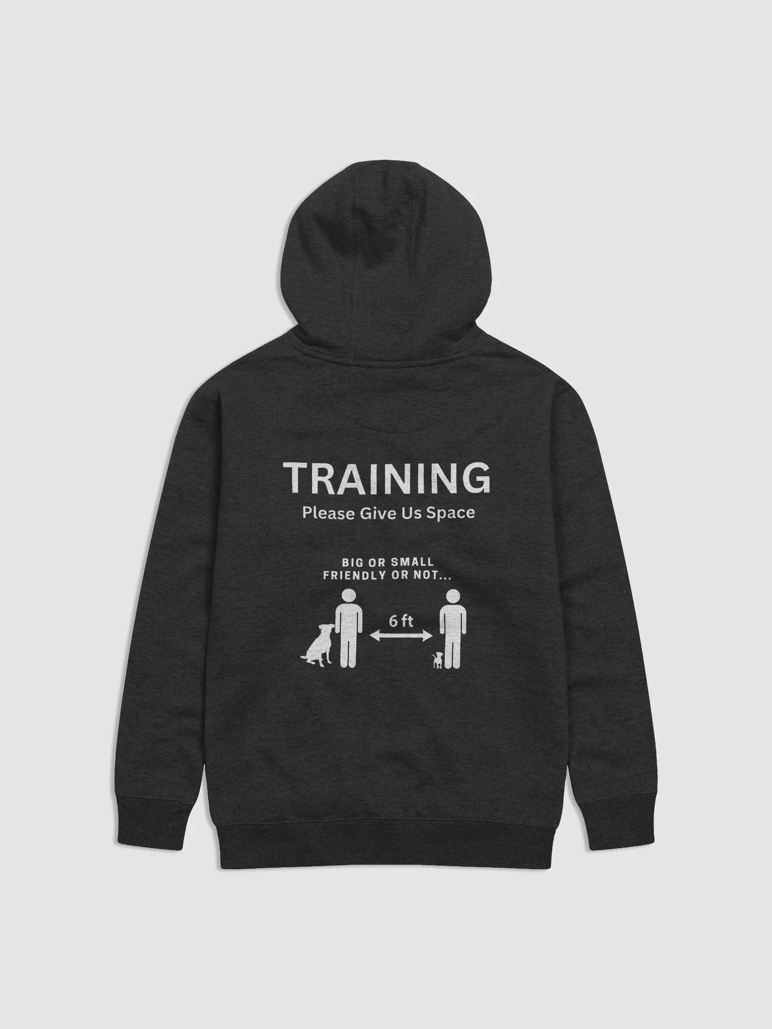 Training/Give Us Space Hoodie product image (2)