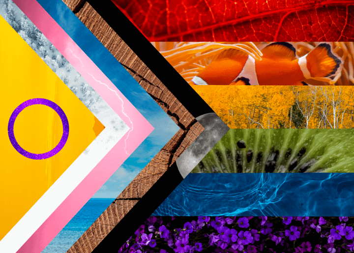 Pride Flag Wallpapers product image (1)