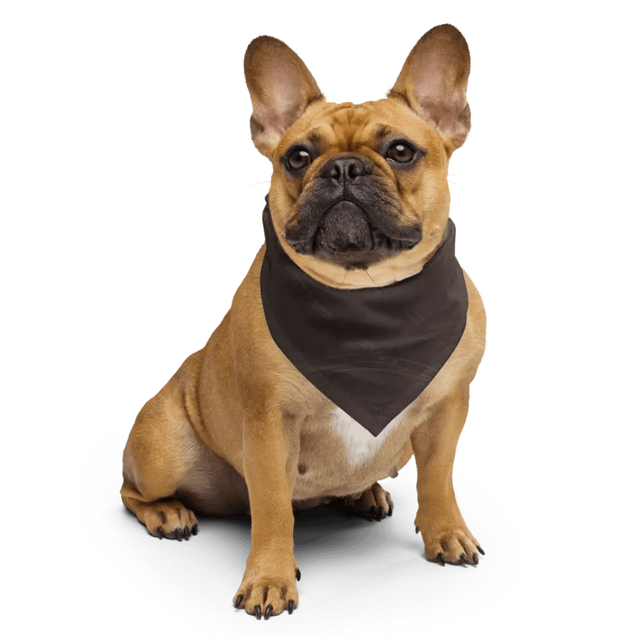 Awe Bandana product image (4)