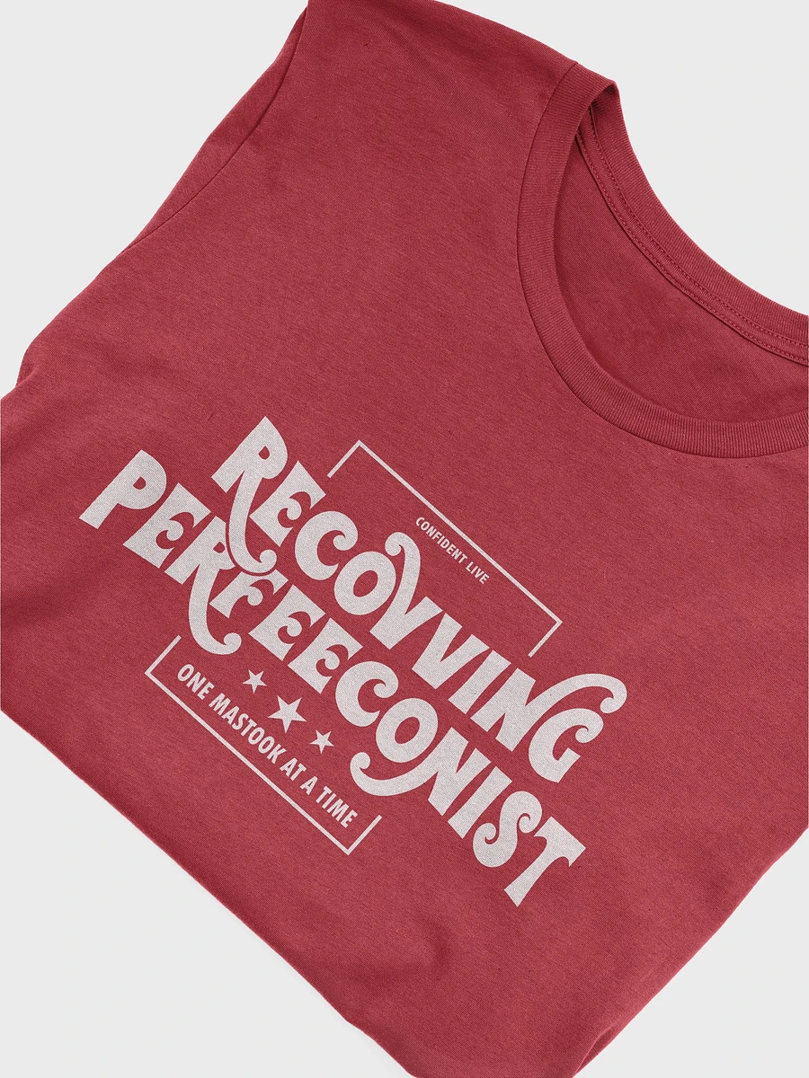 One Mastook Recovving Perfeeconist T-Shirt (Light w/white) product image (5)