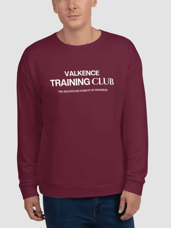 Training Club Sweatshirt - Plum product image (1)