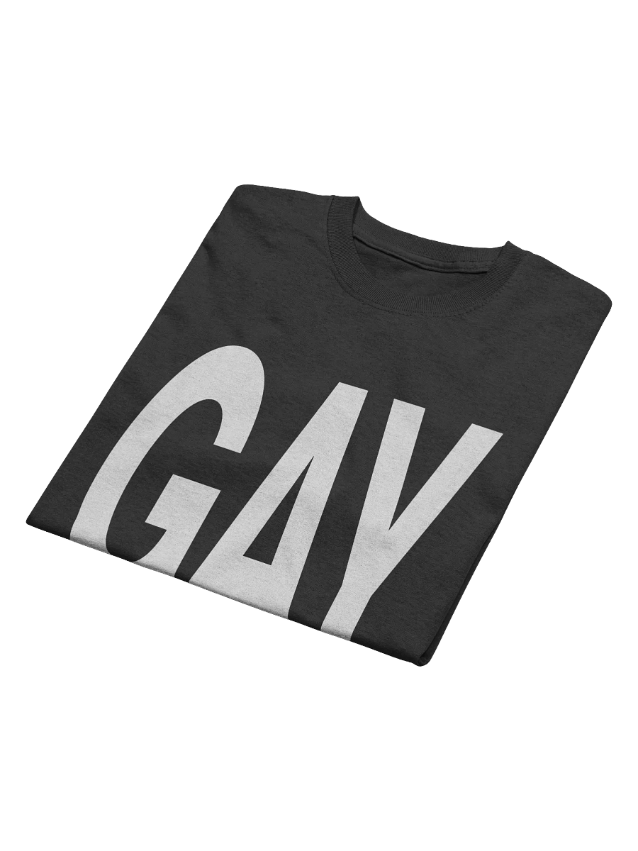 'GAY' T-Shirt product image (15)