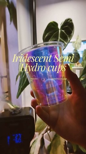 ✨NEW✨

Iridescent semi hydro cups for your plantlets and small plants in pon, leca and other semi hydro setup you use. 

Meas...