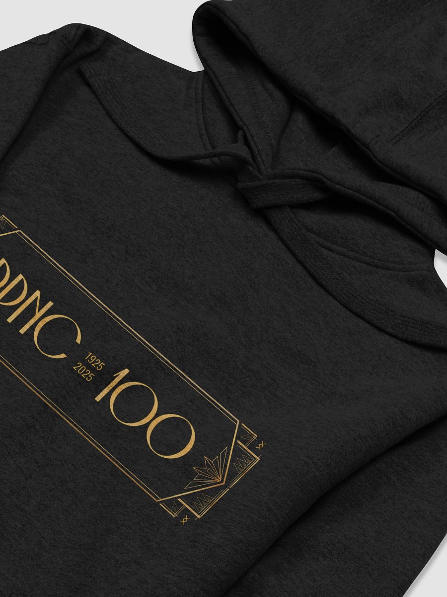 PPNC 100 Year Anniversary Hoodie product image (3)