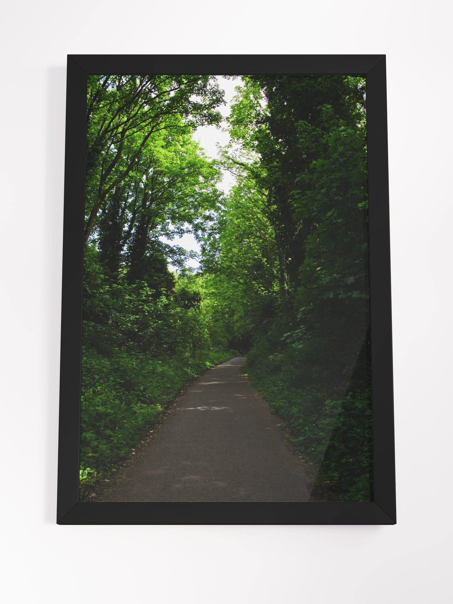 Vibrant Forest product image (4)