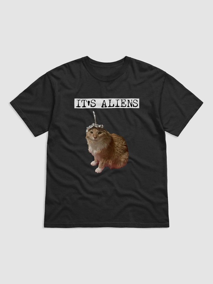 IT'S ALIENS - Black Tee product image (1)