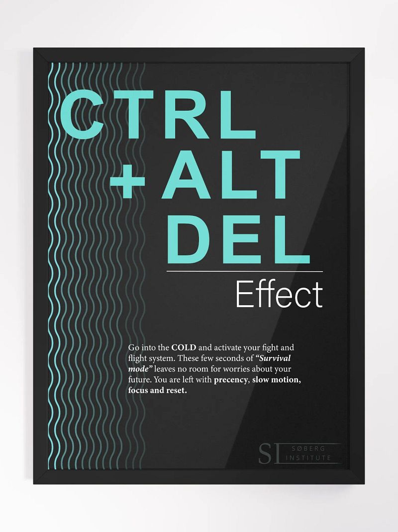 CTRL+ALT+DEL black