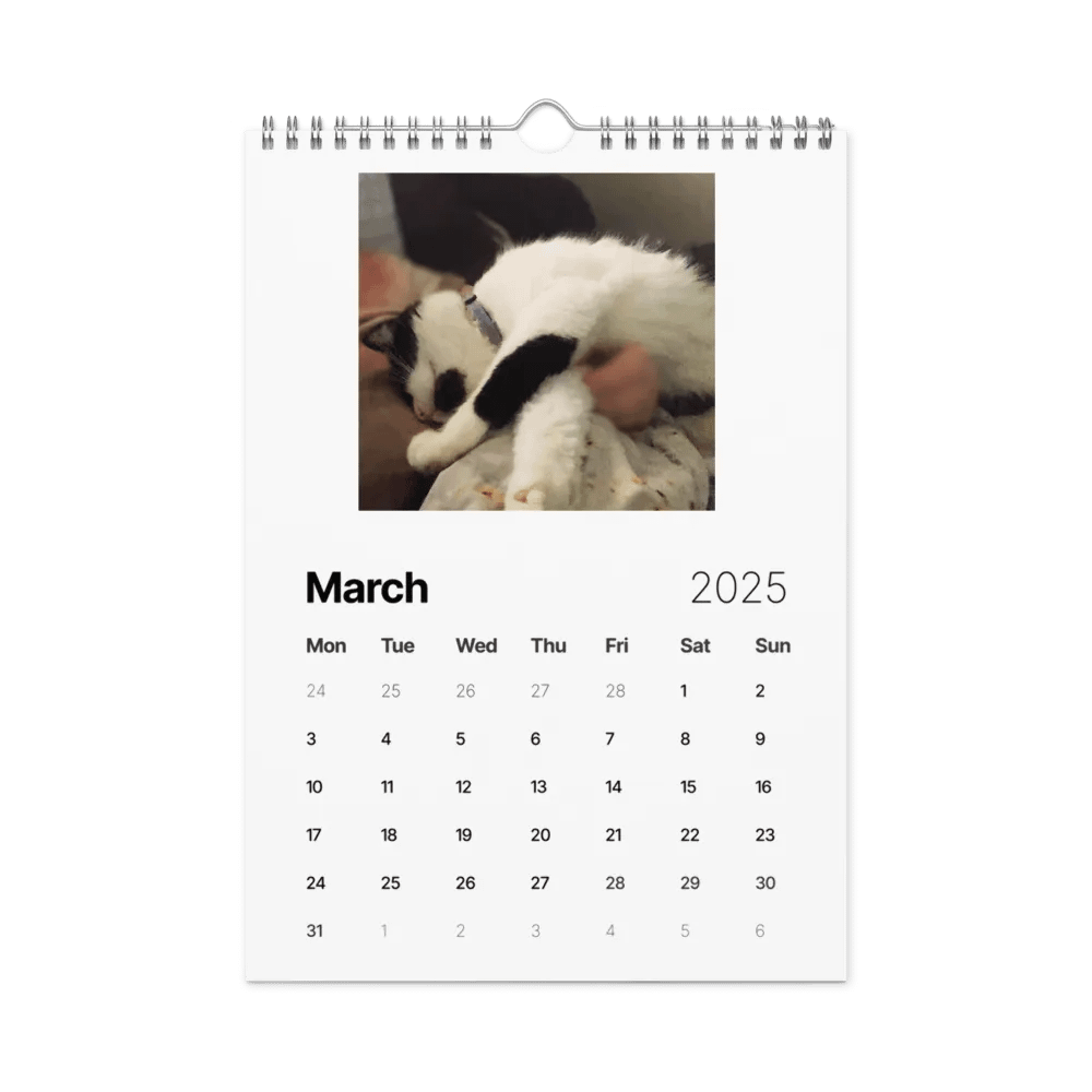 50 Shades of Haru - 2025 Wall Calendar product image (9)