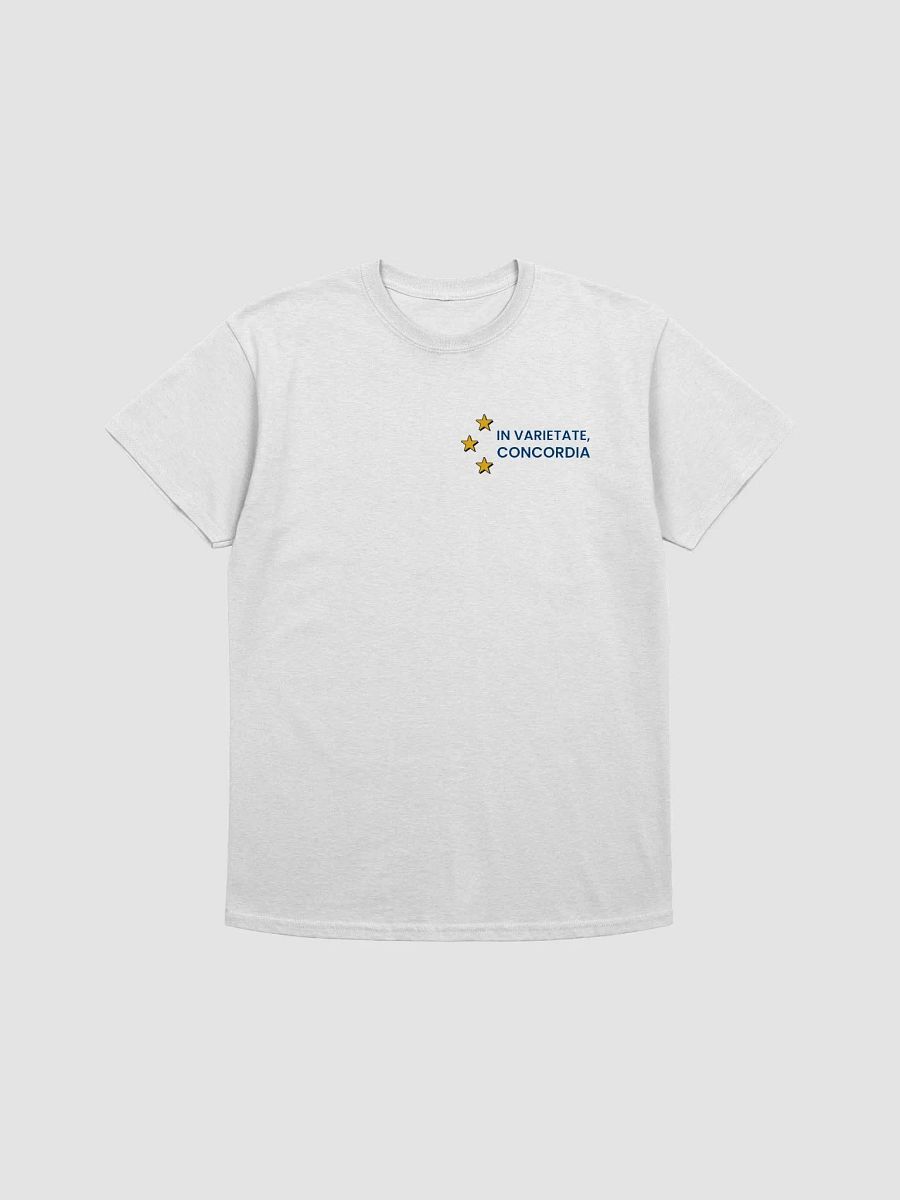 Heavy T-Shirt - In Varietate, Concordia & EU Map - White & Variants product image (2)