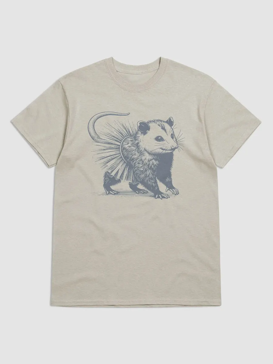 Opossum In Tutu Streetwear Tee product image (1)
