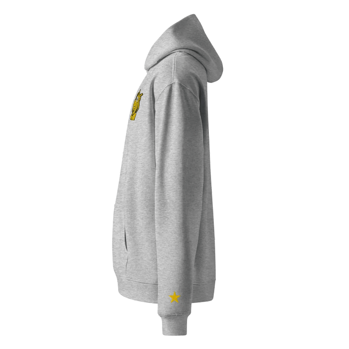 1 YEAR GOLDEN LONELY GOAT Unisex Premium Oversized Hoodie product image (2)