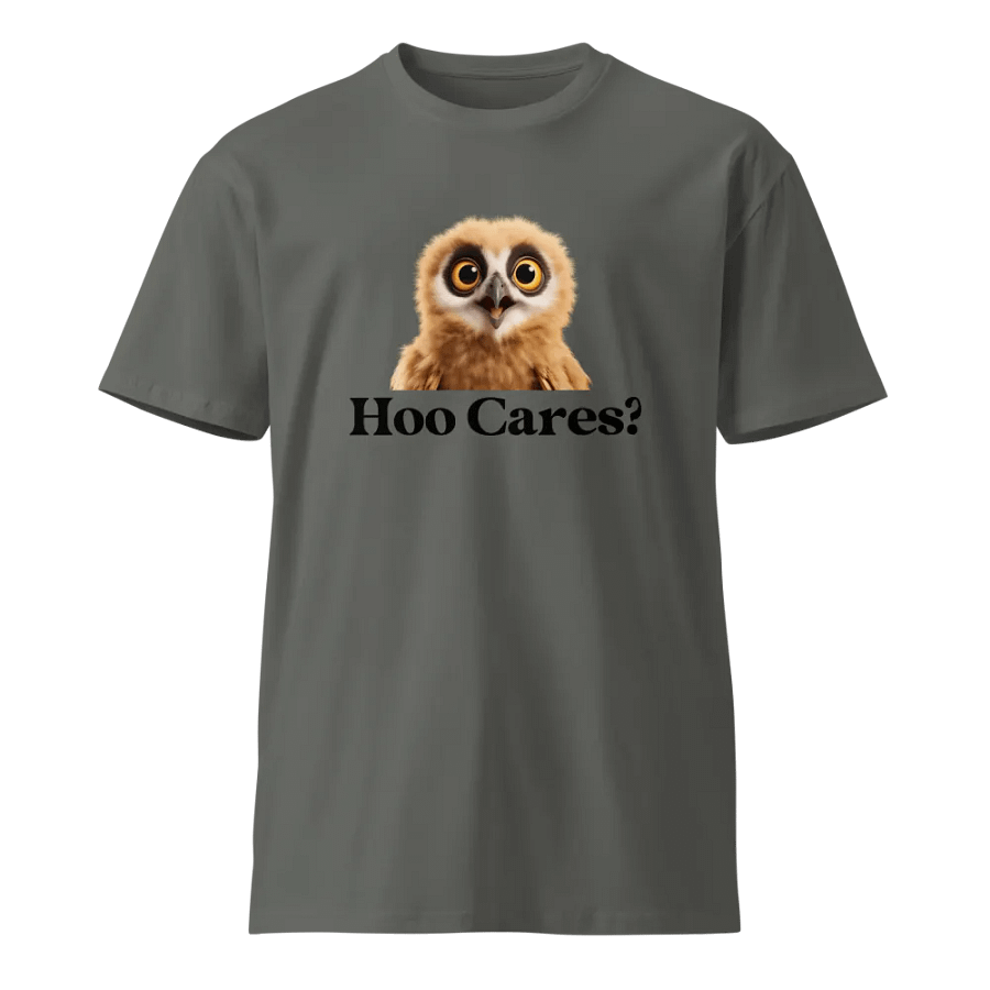 Hoo Cares? Owls Don’t, So Why Should You? Funny T-Shirt product image (1)