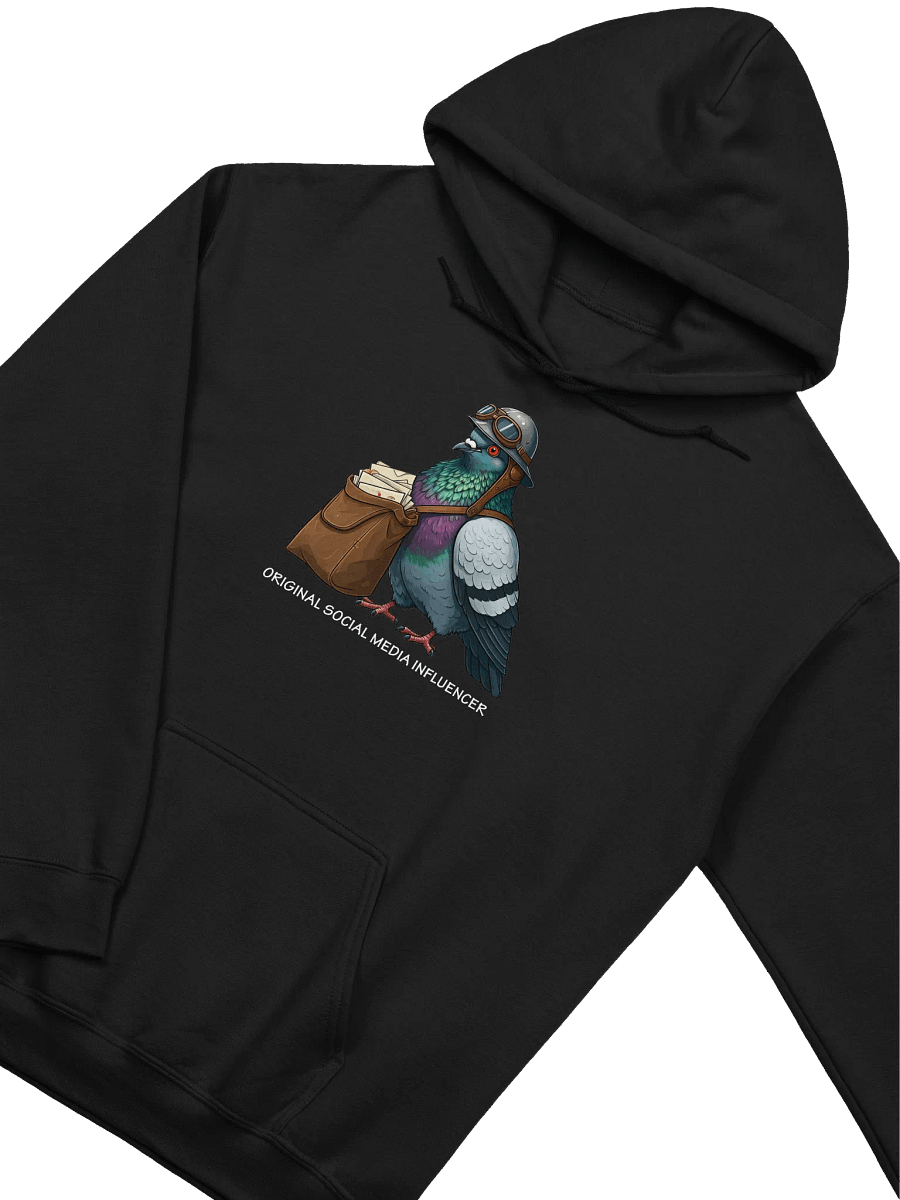 Social Media Influencer Pigeon Hoodie product image (2)
