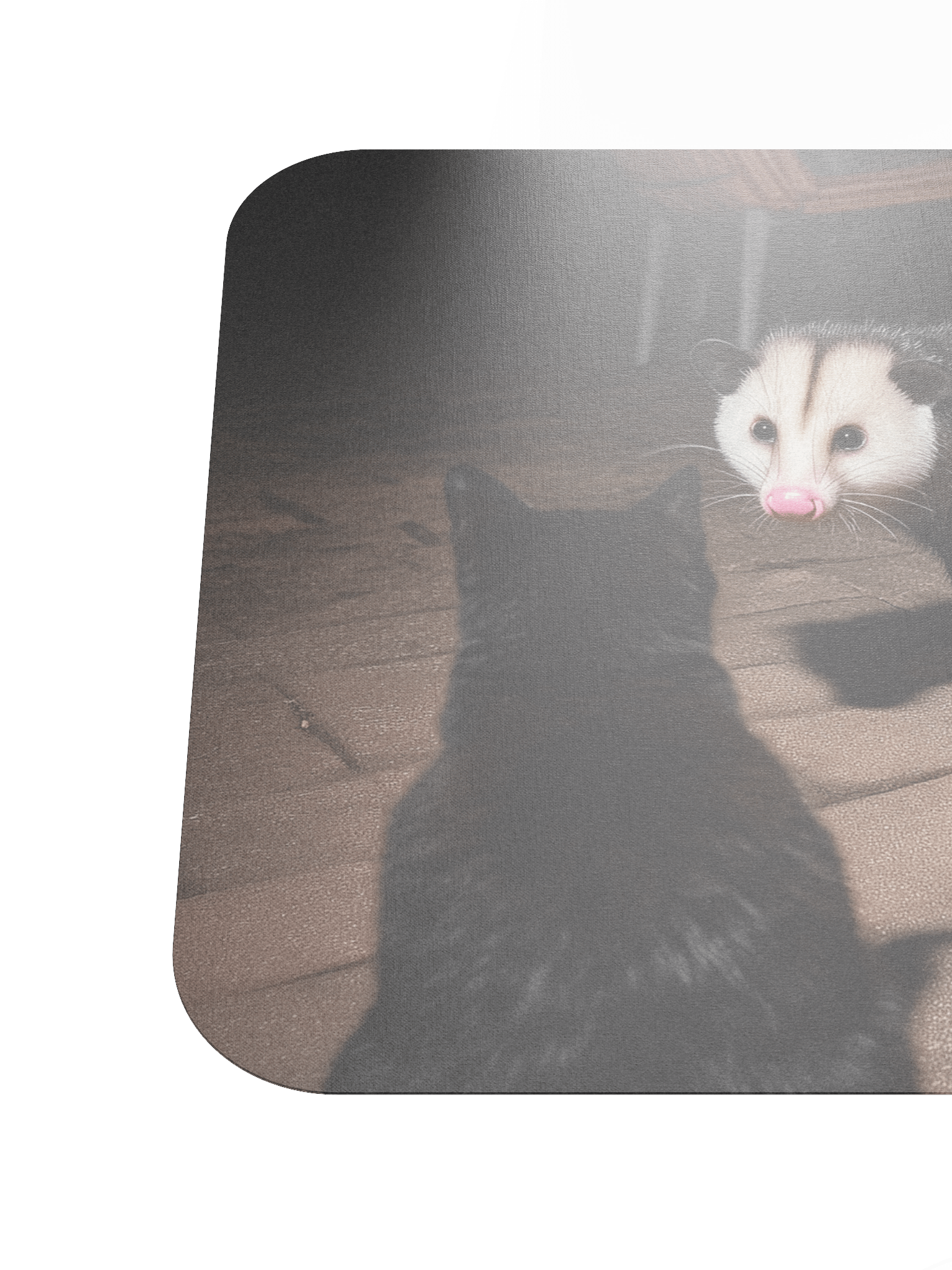 Cat meets opossum family Mouse Pad product image (6)