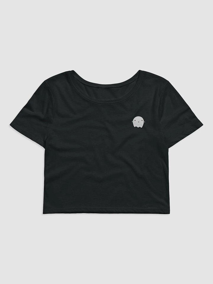 spooki cropped tee product image (1)