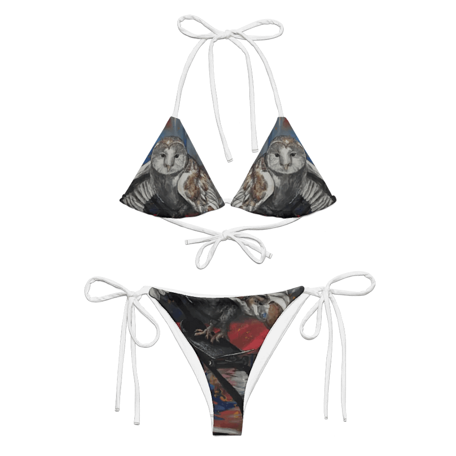 Skateboarding owl Bikini Swimsuit Design product image (1)