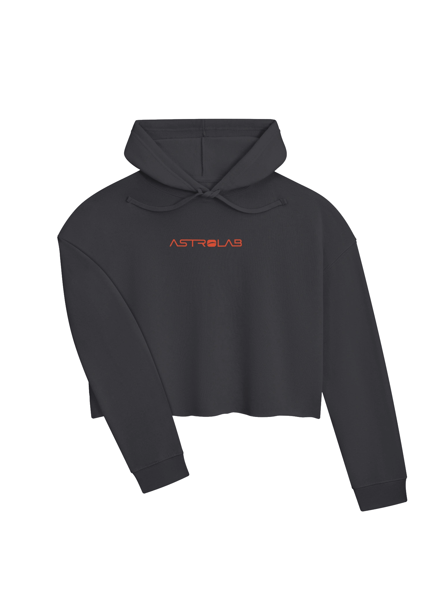 Astrolab Cropped Hoodie product image (3)