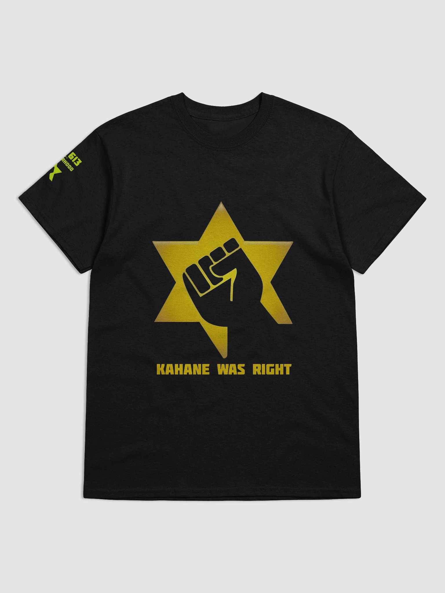 Kahane was right JDL 613 BROTHERHOOD LOGO Gildan T-Shirt product image (1)