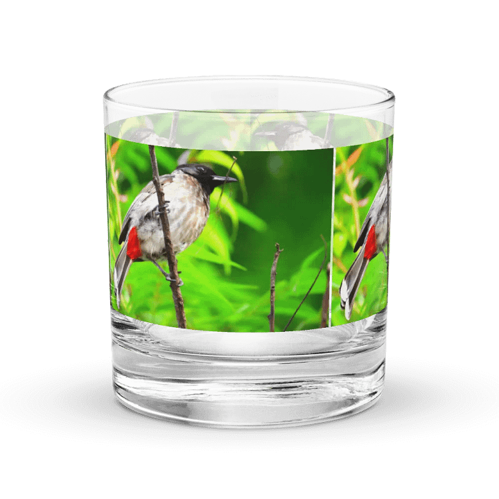 IUCAA Birds GLASS product image (1)