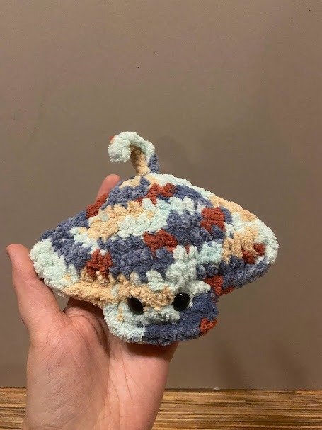 Manta Ray product image (3)
