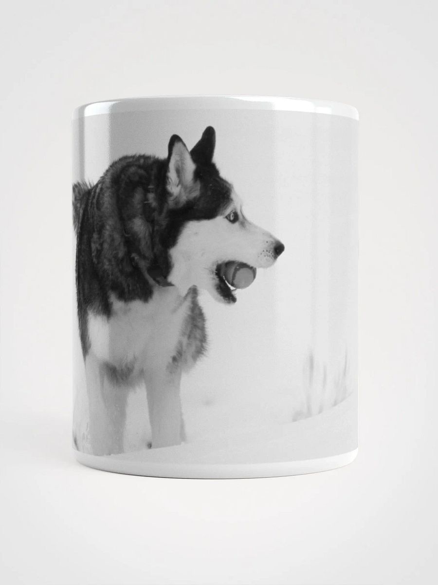 Siberian Husky plays ball with Klee Kai - Black & White product image (1)