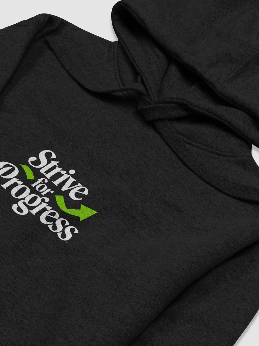 Strive for Progress Hoodie product image (3)
